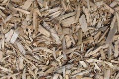 biomass boilers Fauldshope